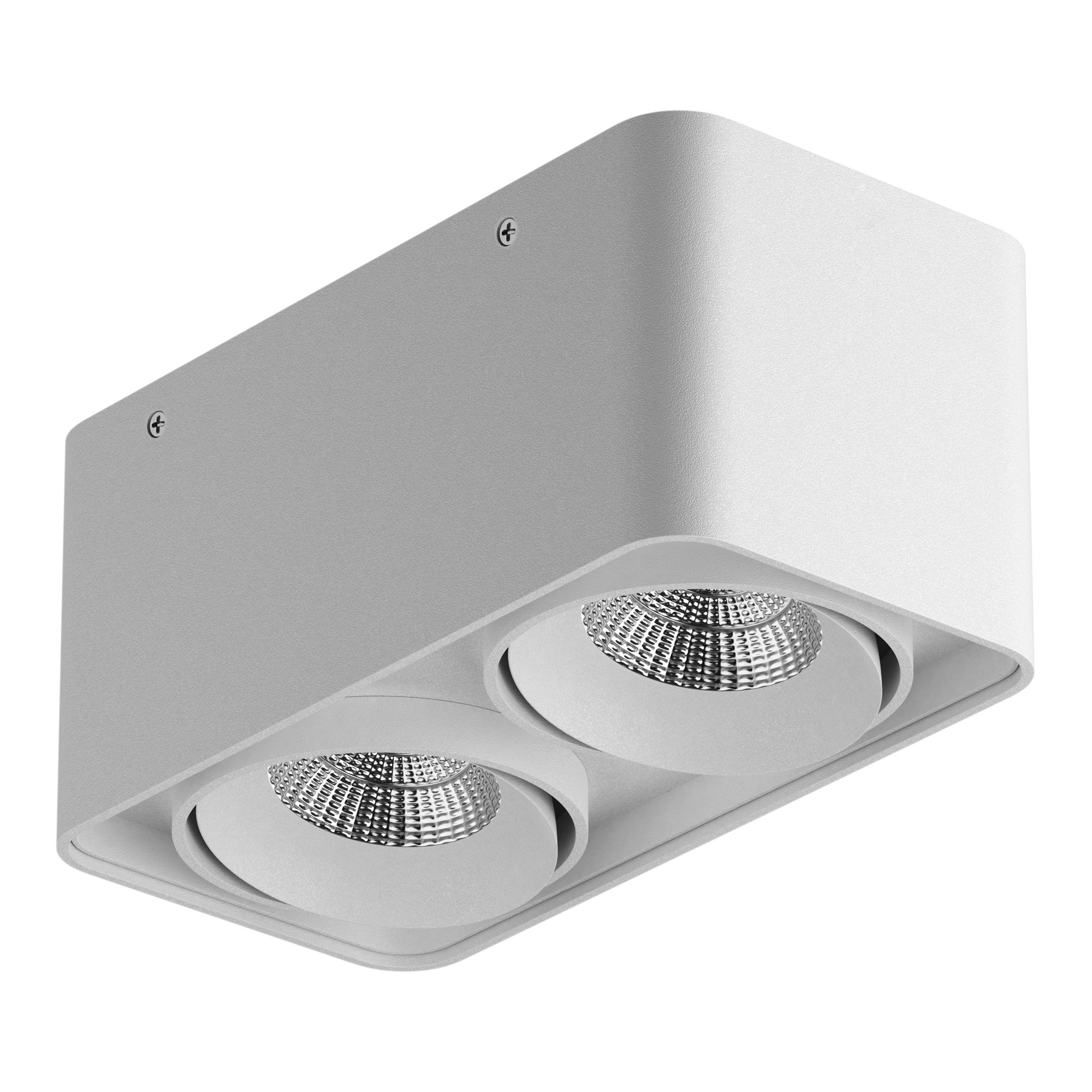 Накладной светильник Lightstar Monocco IP65 20Вт